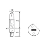 BULB - HALOGEN 12V 55W - H1 - P14.5S