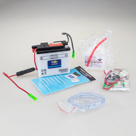 HAIJIU 6N4B-2A-UNV BATTERY 6V Series