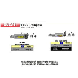 ARROW Silencer Set WORKS Titanium with Carbon Fibre End Caps