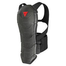 Load image into Gallery viewer, Dainese Manis D1 59 Back Protector