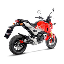 Load image into Gallery viewer, LV Full Syst Gp Corsa Carbon Msx 125 / Grom '17>'20