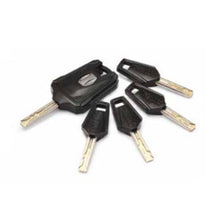 Load image into Gallery viewer, On Guard Chain &amp; Lock - Beast - Lock 11mm - Chain 12mm X 180cm