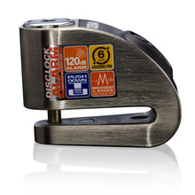 Load image into Gallery viewer, Xena 6mm Stainless Steel Disc Lock