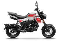 Load image into Gallery viewer, XO Papio Trail - CFMoto